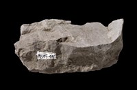 Mudstone Collection Image, Figure 7, Total 8 Figures